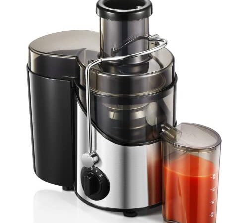 Housnat 400W Centrifugeuse Extracteur de Jus, Extracteur à Jus de Fruits et Legumes à 3 Vitesses, 65mm Large Bouche en Acier Inox Machine à Jus, Sans BPA Pichet à Jus et Brosse de Nettoyage Incluse