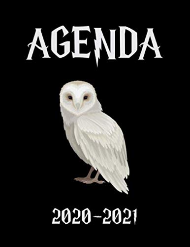 Meilleur agenda 2020 en 2024 [Basé sur 50 avis d’experts]