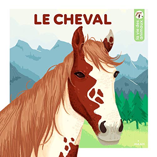 Meilleur cheval en 2024 [Basé sur 50 avis d’experts]