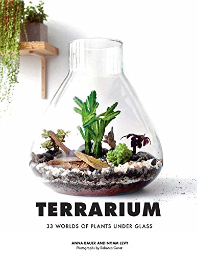 Meilleur terrarium en 2024 [Basé sur 50 avis d’experts]