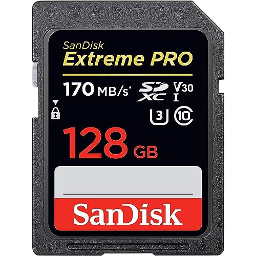 30 Meilleur sd card en 2024 [Basé sur 50 avis d’experts]